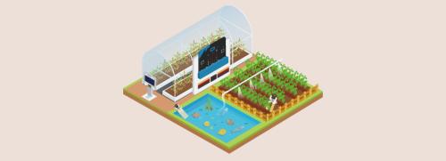 Smart Agriculture Kit til micro:bit